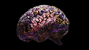 The-Neuroscience-of-Getting-Over-Writers-Block