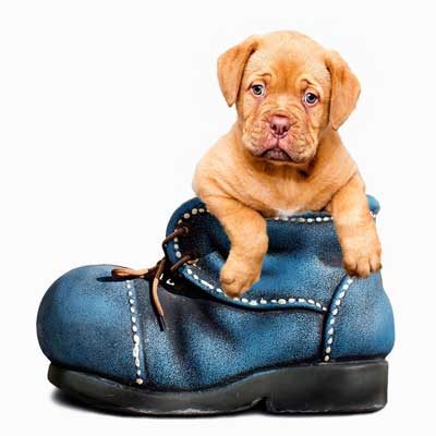 12 Creative Prompts for Writing a Poem