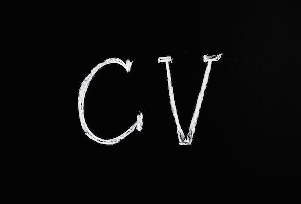 curriculum vitae cv